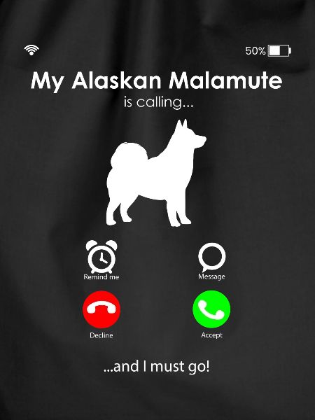 Alaskan Malamute Dog