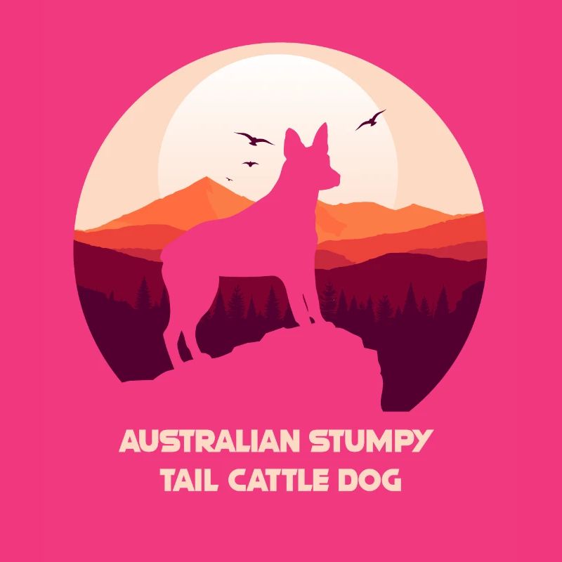 Australian Stumpy Tail Cattle Dog