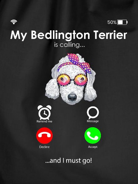 Bedlington Terrier