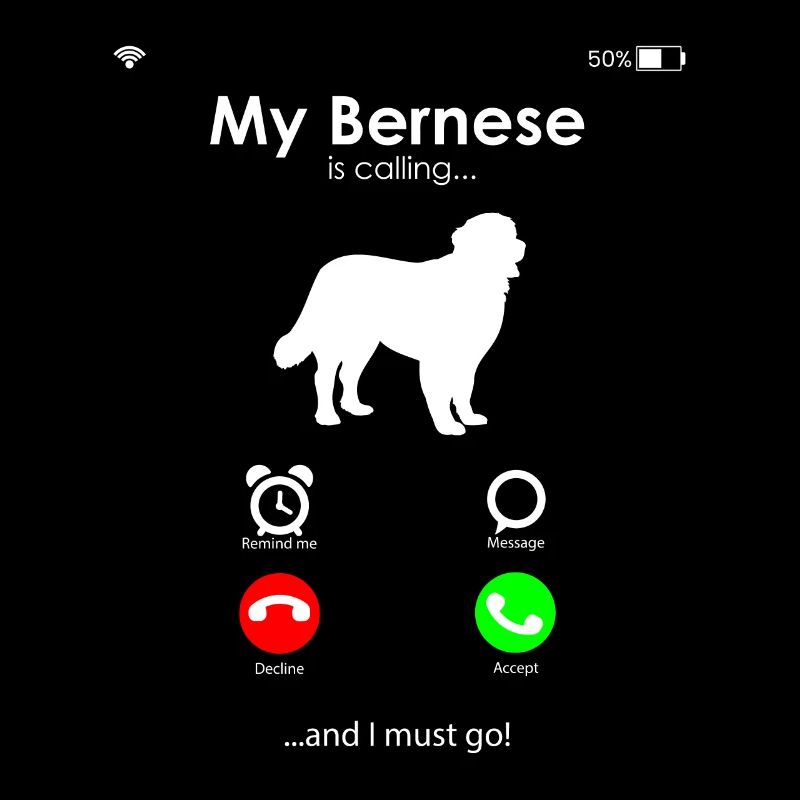 Bernese Mountain Dog