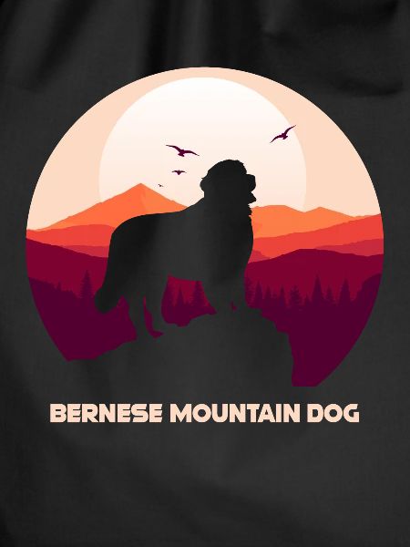Bernese Mountain Dog
