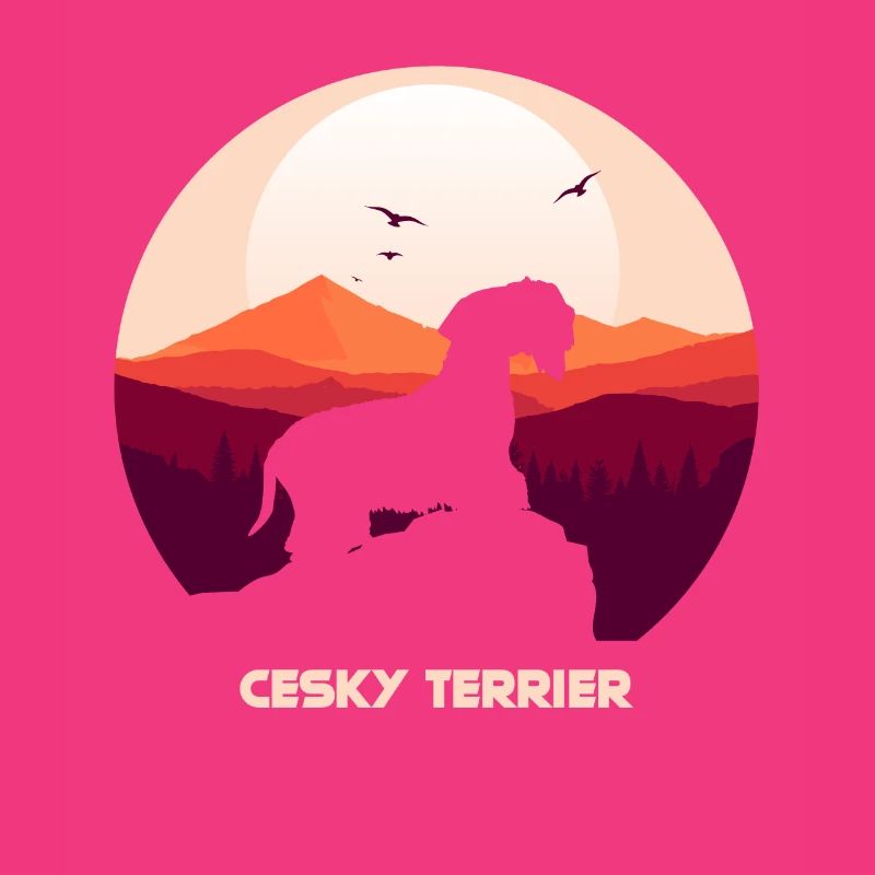 Cesky Terrier Chien - Cesky Terrier