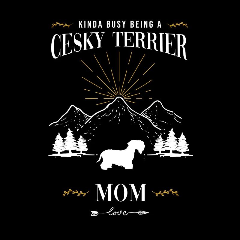 Cesky Terrier Hund - Cesky Terrier