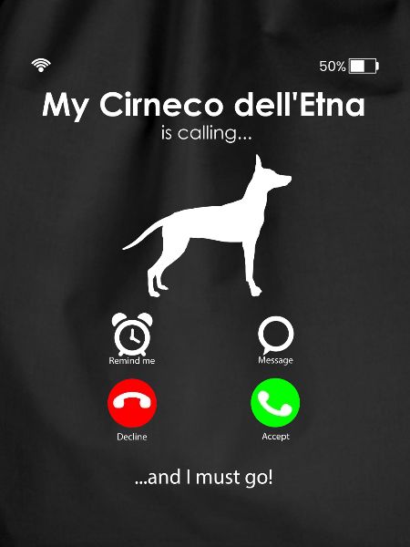 Cirneco dell Etna