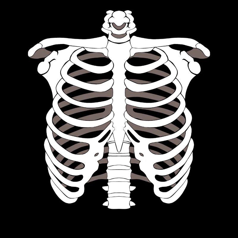 Skeleton skeleton Halloween bone skeleton skeleton