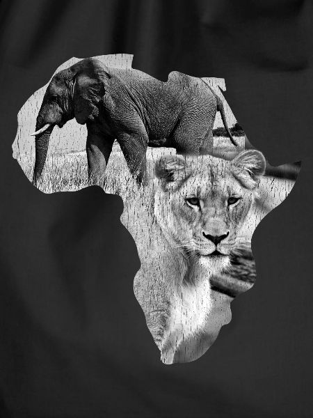africa