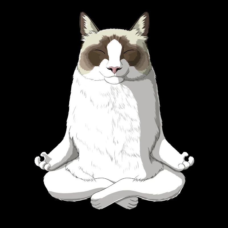 Ragdoll Cat