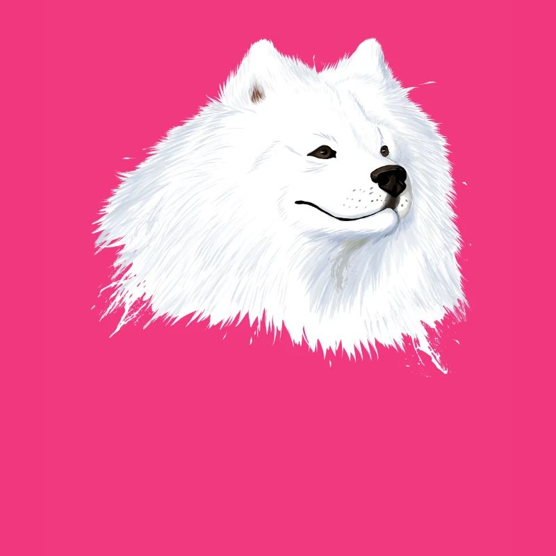 Samojede Hund