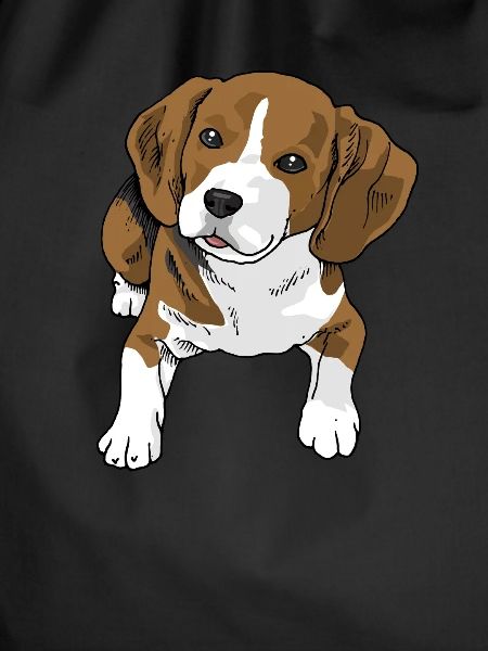 Beagle