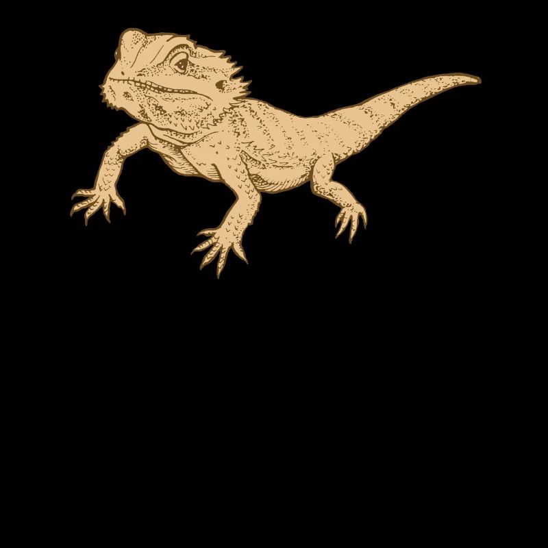 bearded dragon