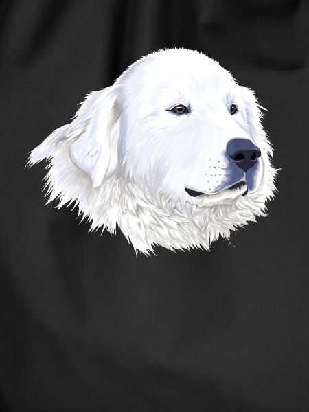 Great Pyrenees Dog