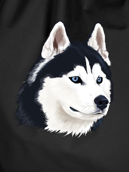 Husky Dog