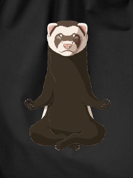 Ferret