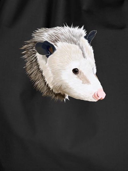 Opossum