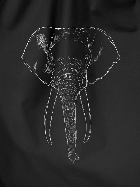 Elefant