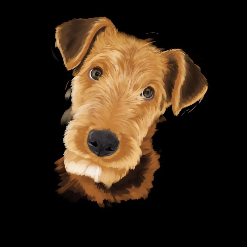 Airedale Terrier chien