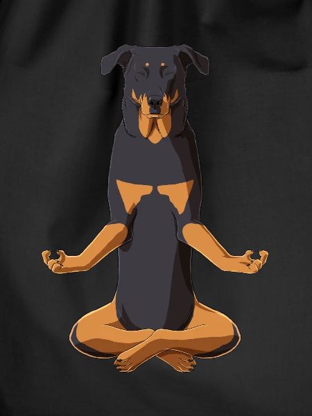 Beauceron Dog meditate