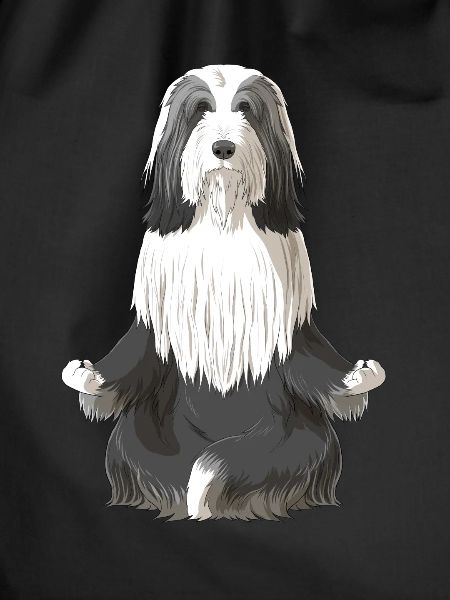 Bearded Collie Dog meditate