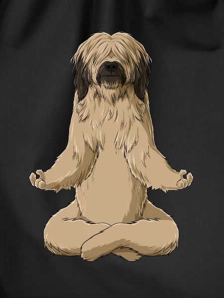 Meditate Briard Dog