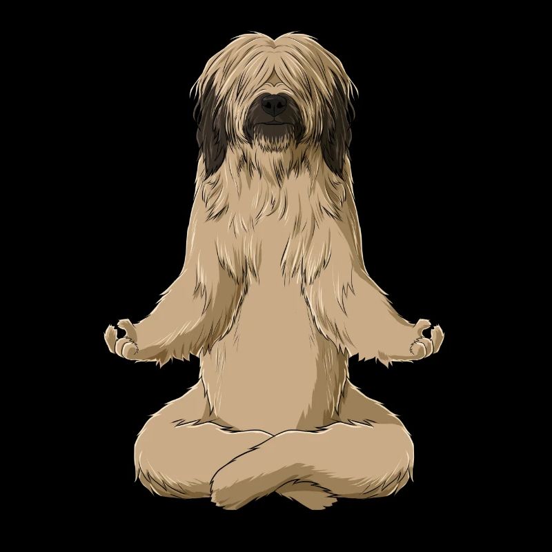 Chien Méditant Briard