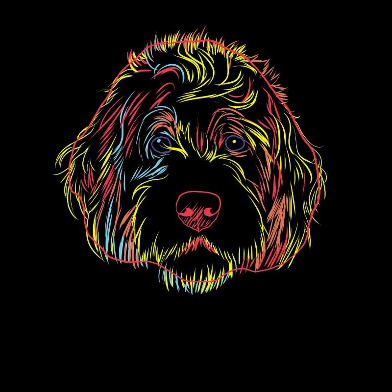 Splash Bernddoodle Dog