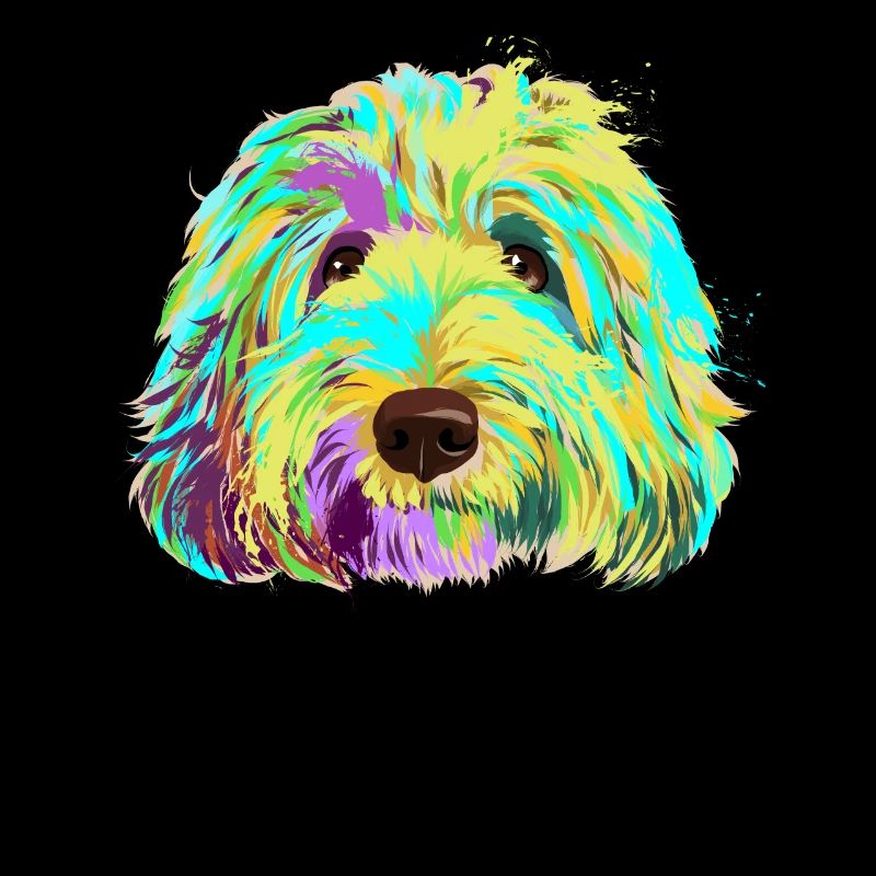 Labradoodle Hund