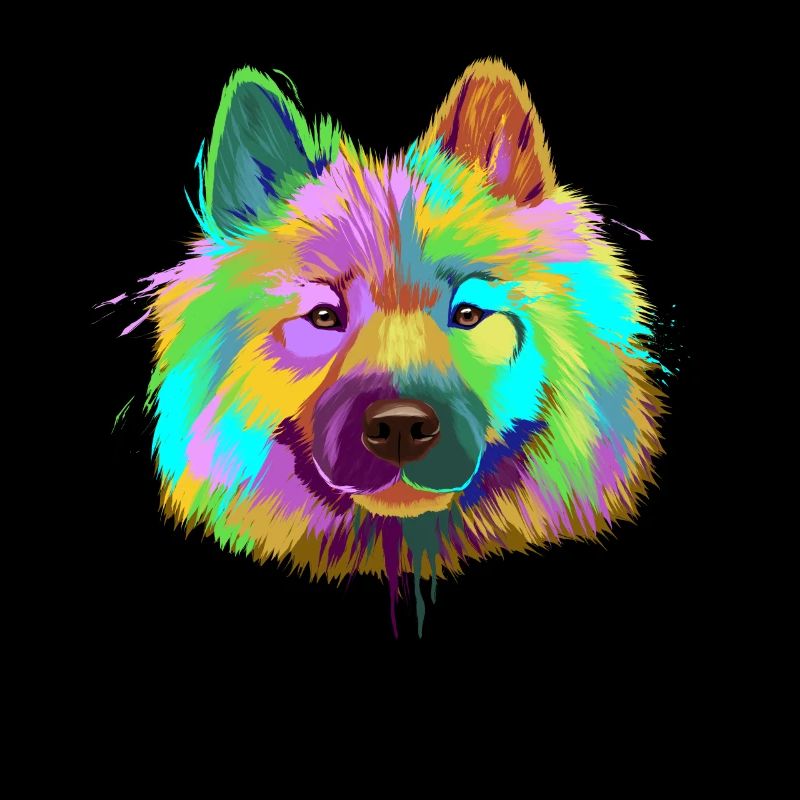 Splash Eurasier Dog