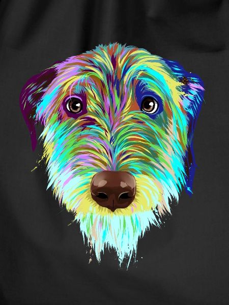 Splash Irish Wolfhound Dog