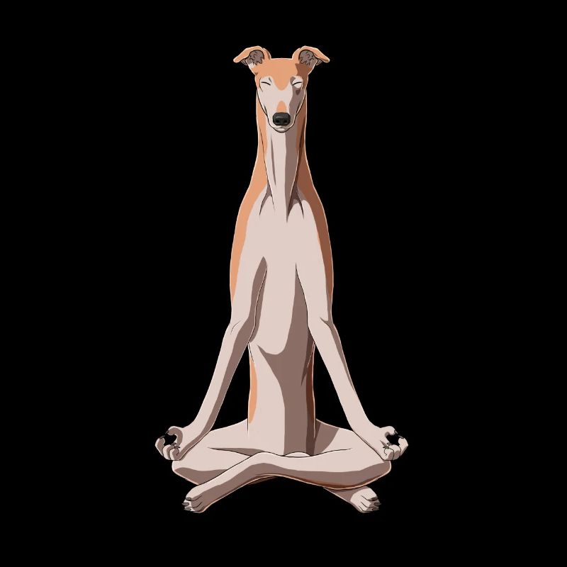 Meditating Greyhound Dog