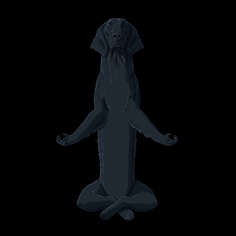 Chien méditant Flat Coated Retriever