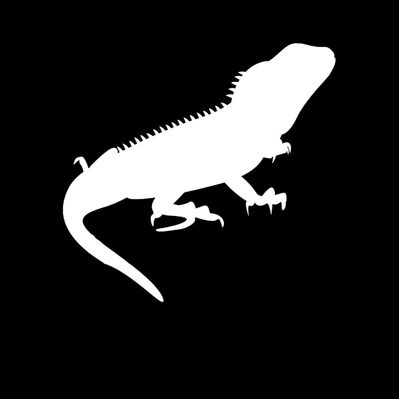 Grüner Wasseragame Chinesischer Drache Geschenk