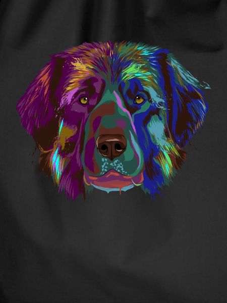 Splash Leonberger Dog