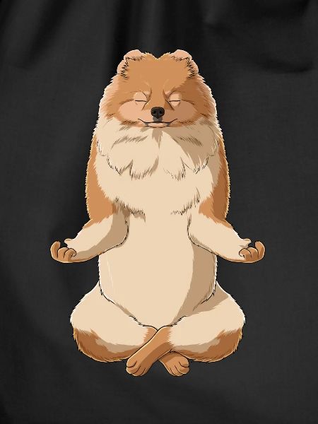 Meditating Pomeranian Dog