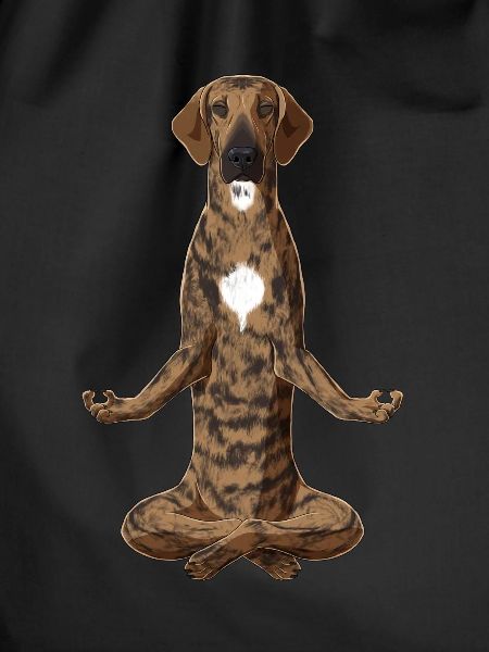 Meditierender Plott Hound Hund