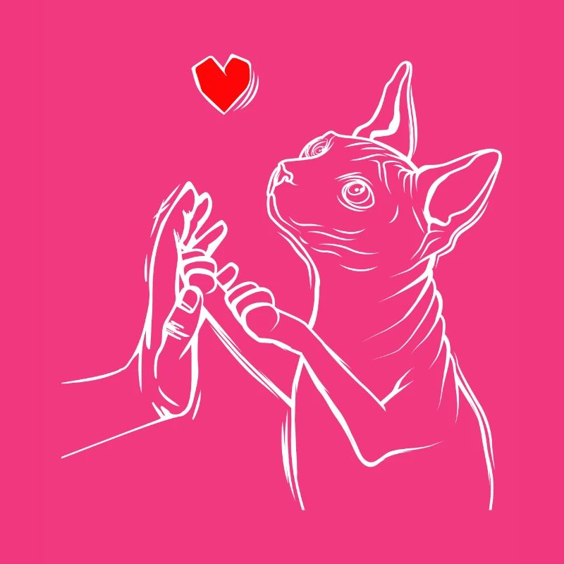 Sphynx Chat Amour Sphinx Chat Nu