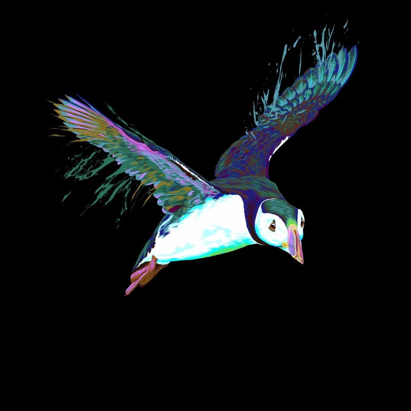 Splash Flying Bird Puffins
