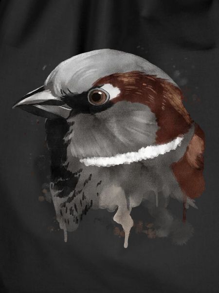 Splash Bird Sparrow