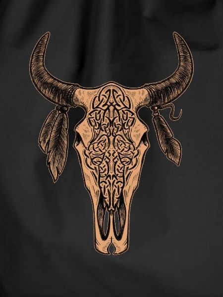 Bull Skull