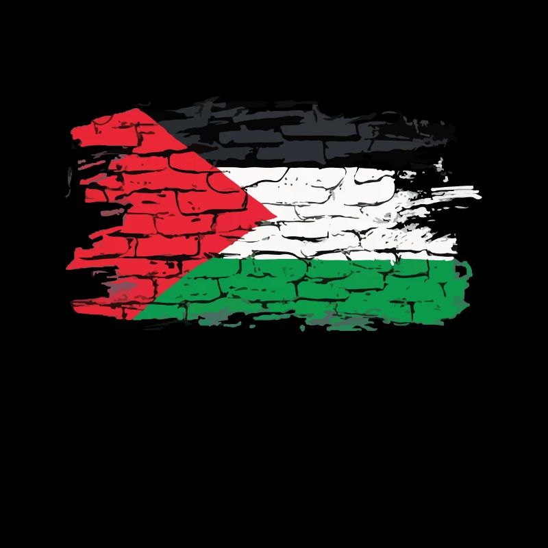 Palestine Flag Graffiti Art