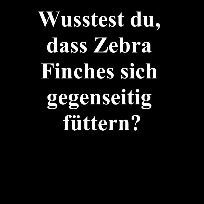 Zebra Finch Liebe Geschenk