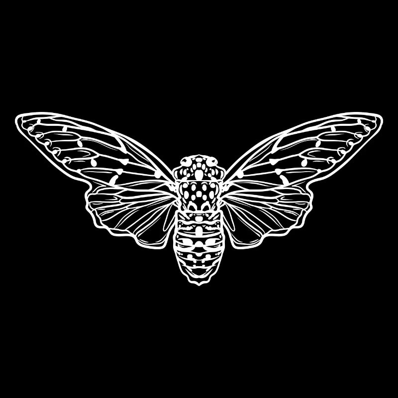 Cicada Minimalist