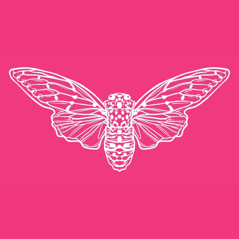 Cicada Minimalist
