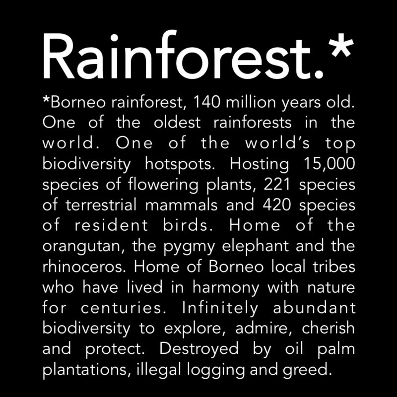 Rainforest cushion w&b