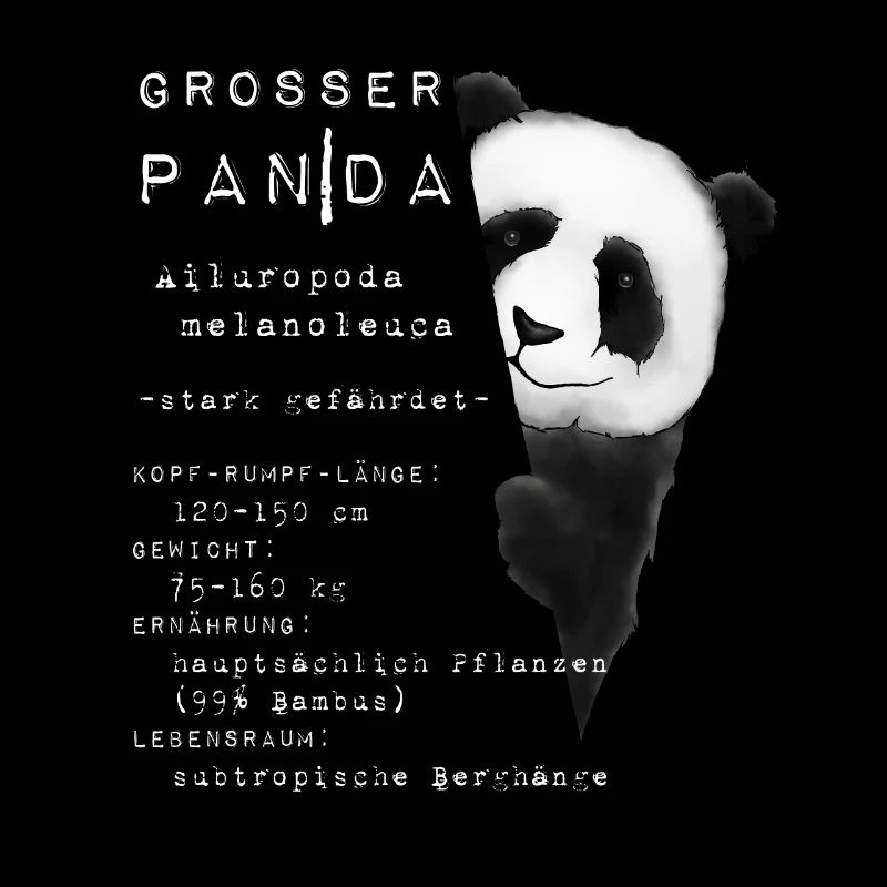 Panda background knowledge facts info gift