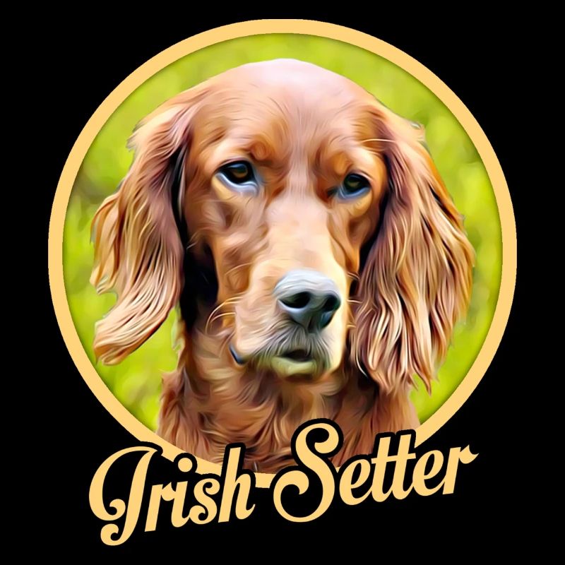 Irish Setter