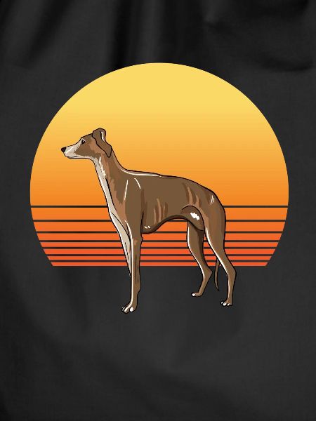 Windhund Sonne