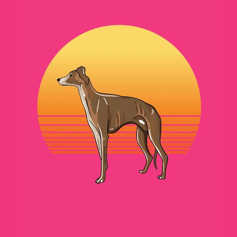 Windhund Sonne