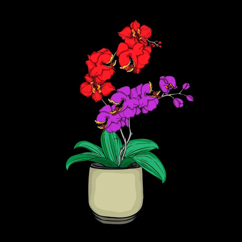 Piège à mouches de Vénus carnivore orchidée