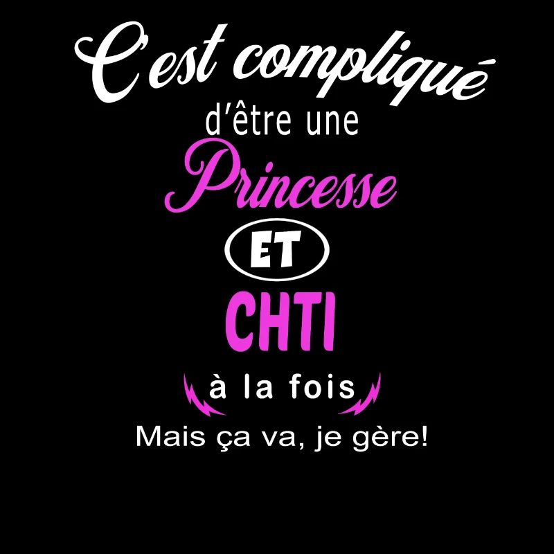 c'est compliqué princesse et chti