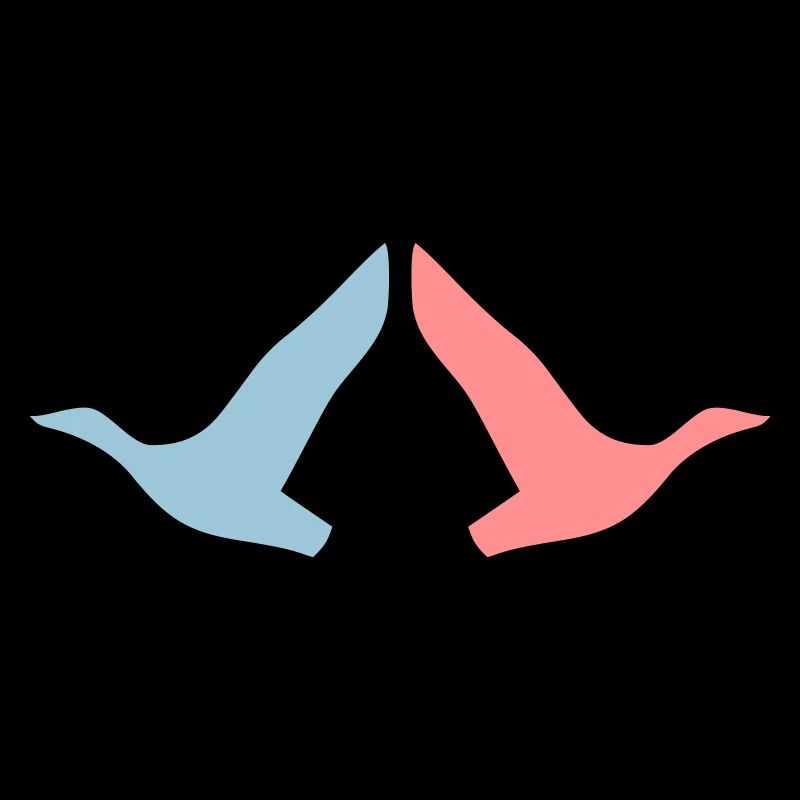 ★ Couleurs de conception modifiables ★ Deux oiseaux en vol